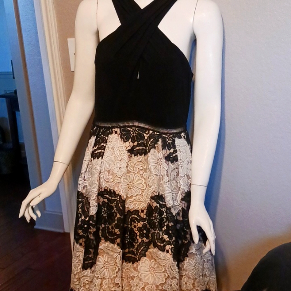 Adrianna Papell Black and Cream Lace Midi Dress